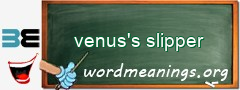 WordMeaning blackboard for venus's slipper